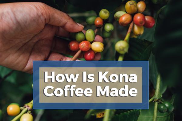 How Is Kona Coffee Made